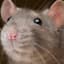 rat-eater