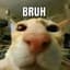 bruh