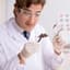 Bug_Scientist