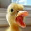 Mallard