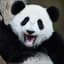 djpanda3000