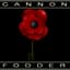 Cannon Fodder Vet