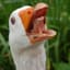 Das Goose