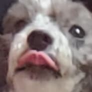 b0wie_