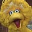 Big Bird
