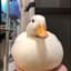 Ducc