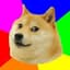 DogeMeister21