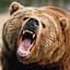 Grizzly22