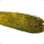 Slick-Pickle