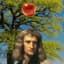 _newton_