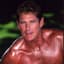David Hasselhoff