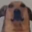 Da Dawg
