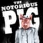 Notorious P_I_G
