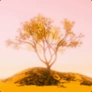 NeoSol
