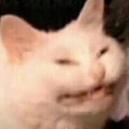 Adderal Cat