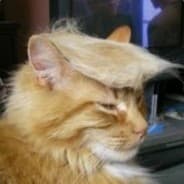 Firepaw