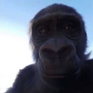 Beesechussy