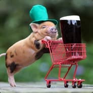 DrunkenPiglet