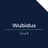 wubidu