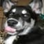 Big_flibble