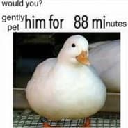 florbus