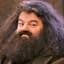 Hagrid