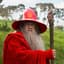 Gandalf The Red