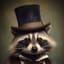 Mr.Raccon
