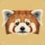 Woody the Red Panda