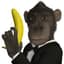 MonkeyOnSteroid