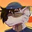 Raccoon