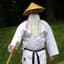 Sensei Wu