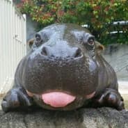 Little Hippo Lover
