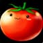 Smash Tomato34