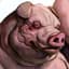 Papa Swine