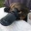 MeatyPlatypus
