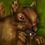 Ratatoskr the Squirrel